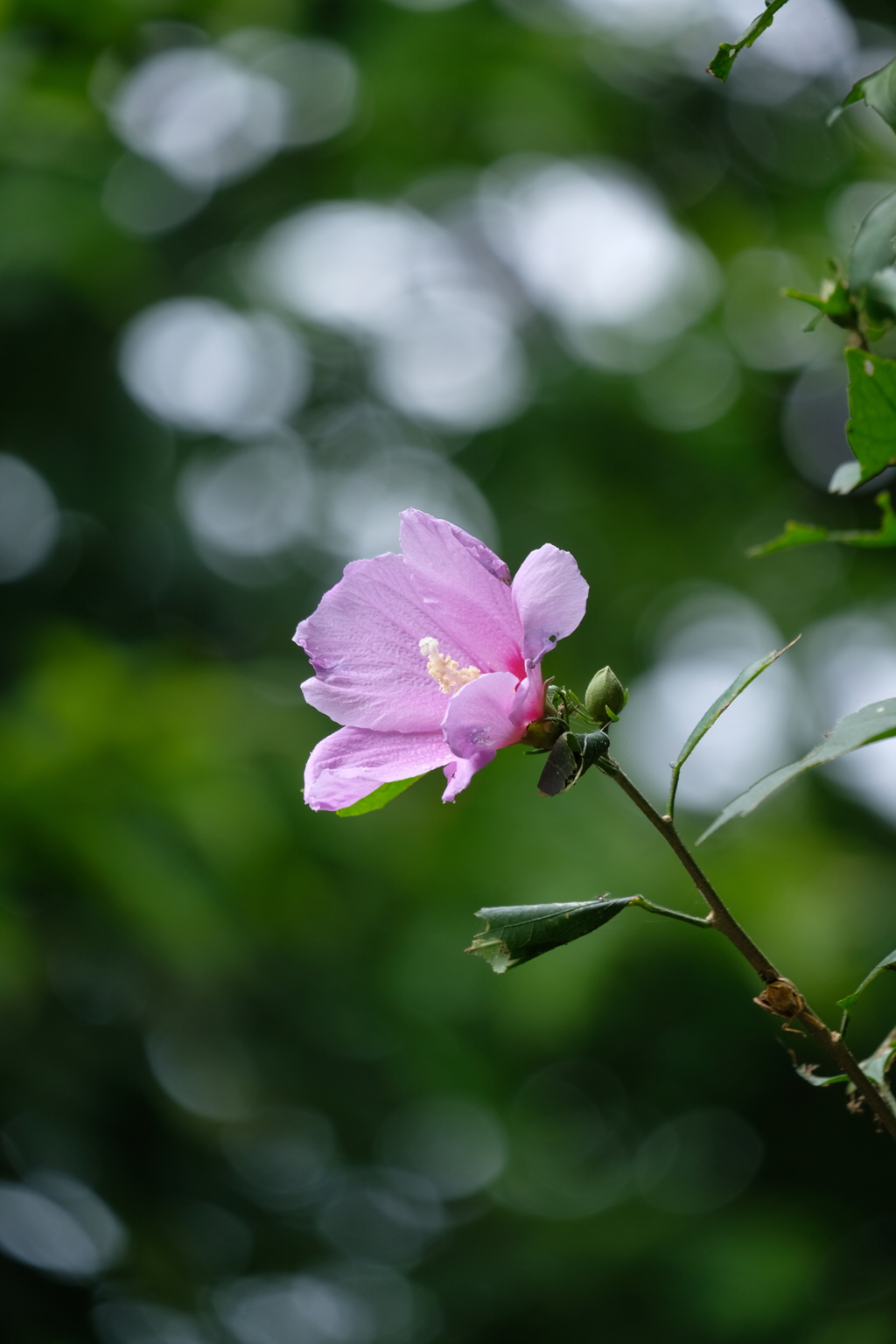 夏の終わり