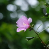 夏の終わり