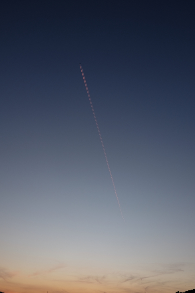 夕陽に染まる