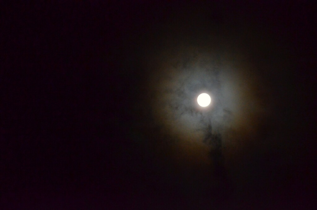 雲間