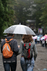 雨の日光