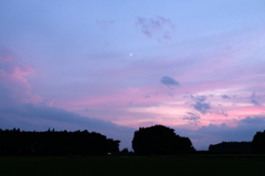ミカズキ　OUT OF FOCUS
