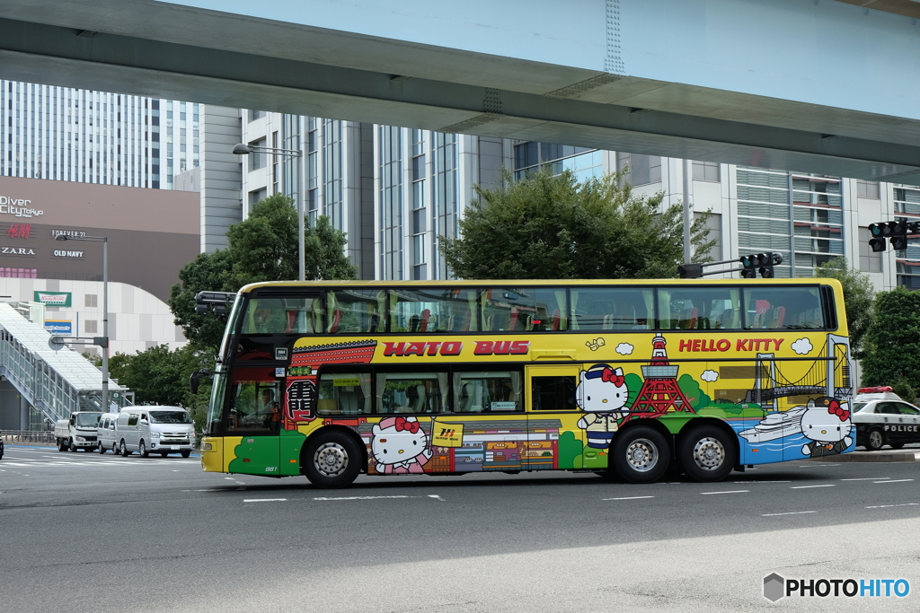 HATO BUS