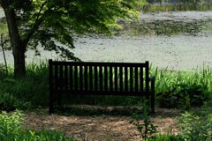 湖畔のベンチ