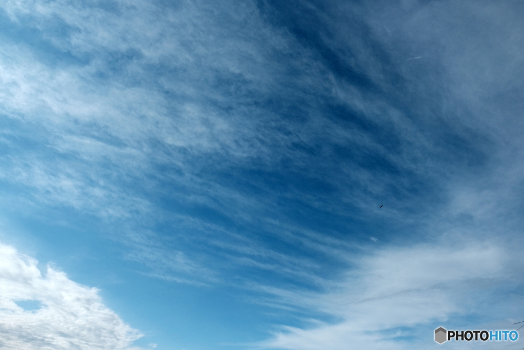 冬の大空