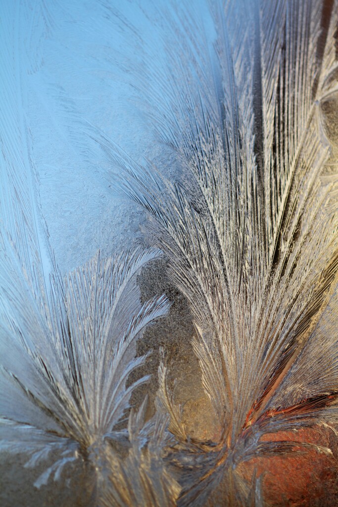 氷点下の窓
