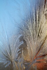 氷点下の窓