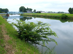 青い鉄橋