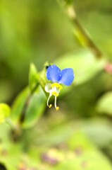 片隅に