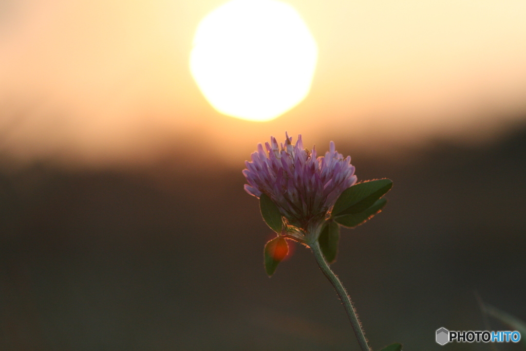 夕刻の堤防