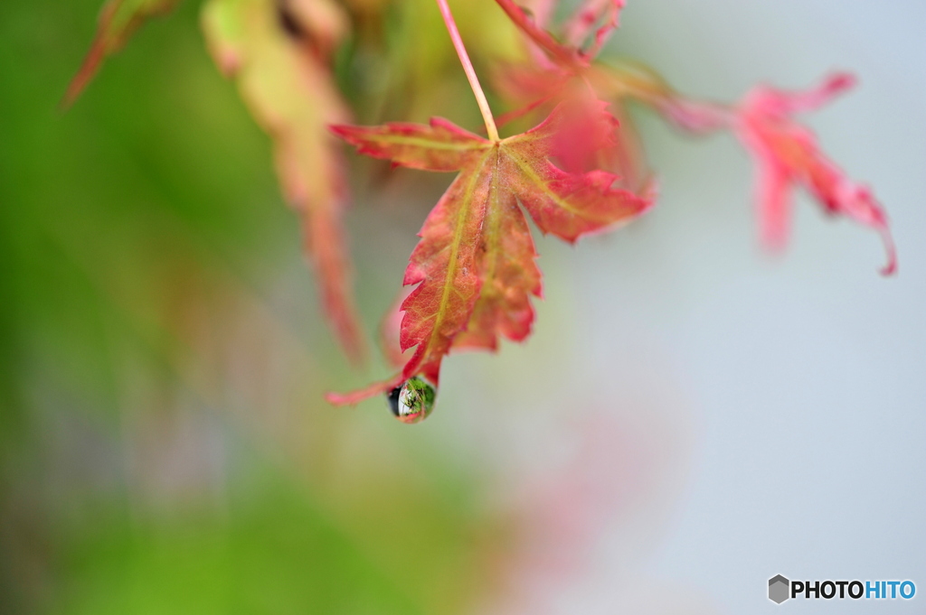 梅雨入り前