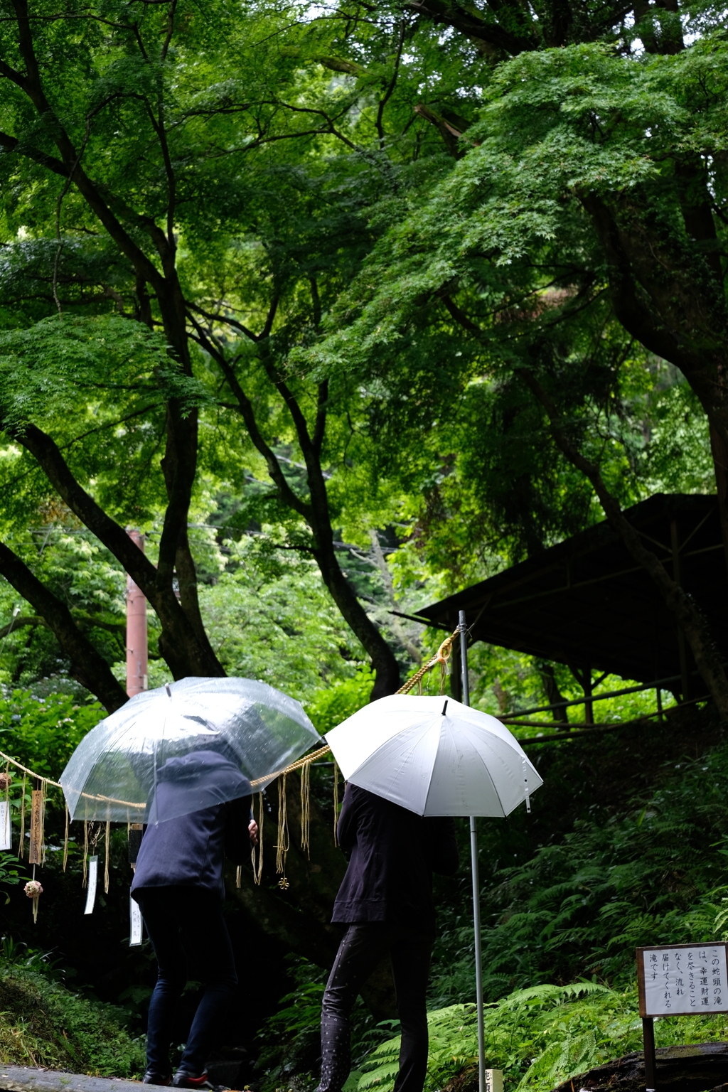 雨の二人
