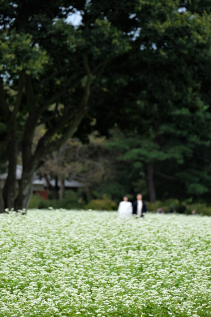 あなたのそばがいい＾＾