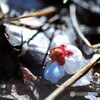じゃ　また