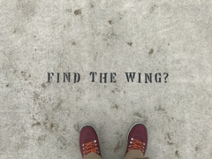 FIND THE WING?