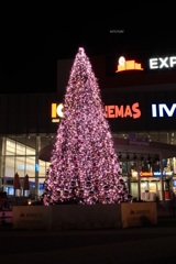EXPOCITY（2018年）