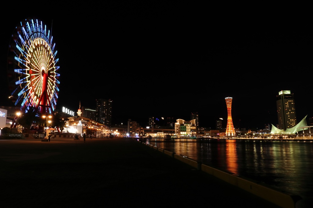 ハーバー夜景（2020年1月）