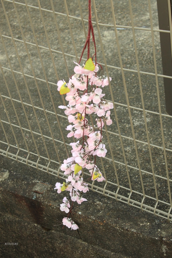 花と鮎の祭り 3