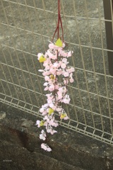 花と鮎の祭り 3
