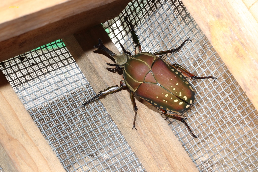 ヒキコモリをきっかけに・・・