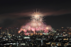 淀川花火遠景