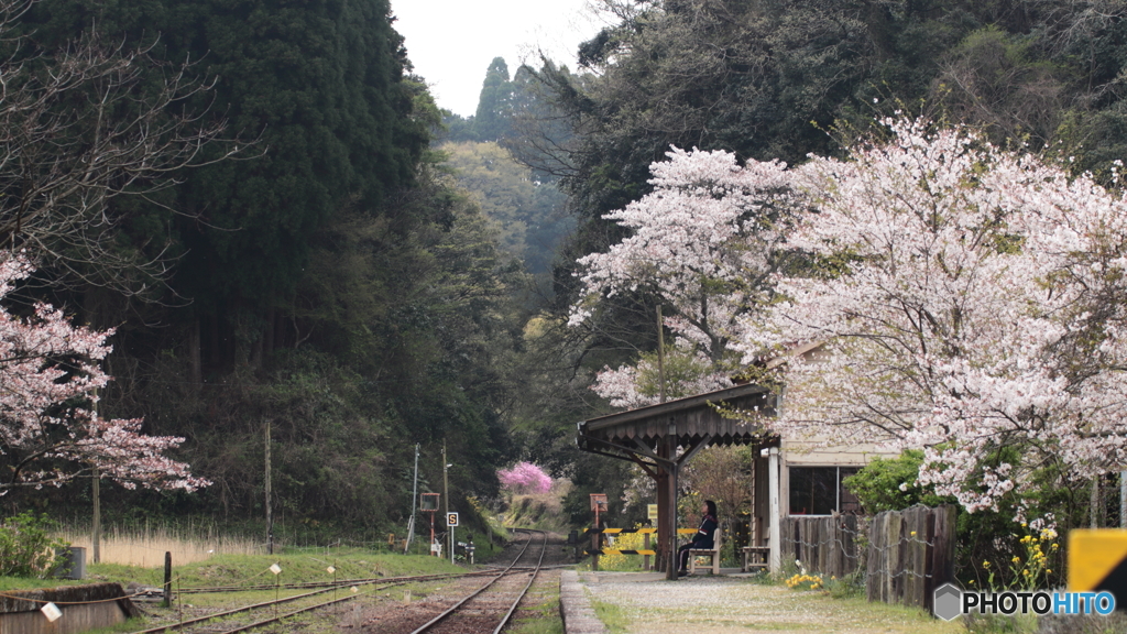 長閑な駅