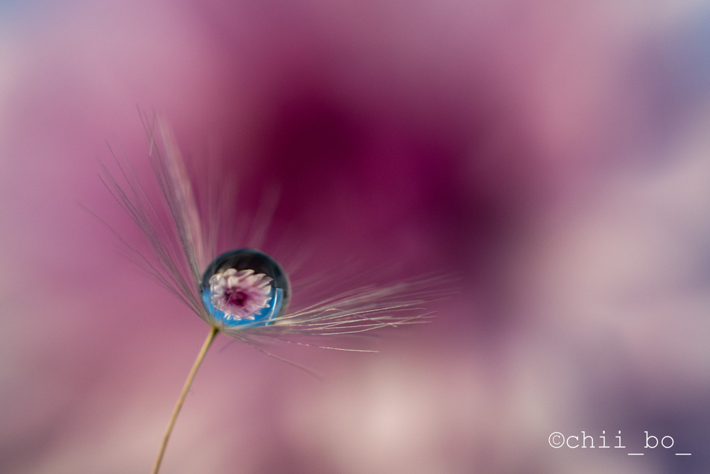 お花の髪飾り