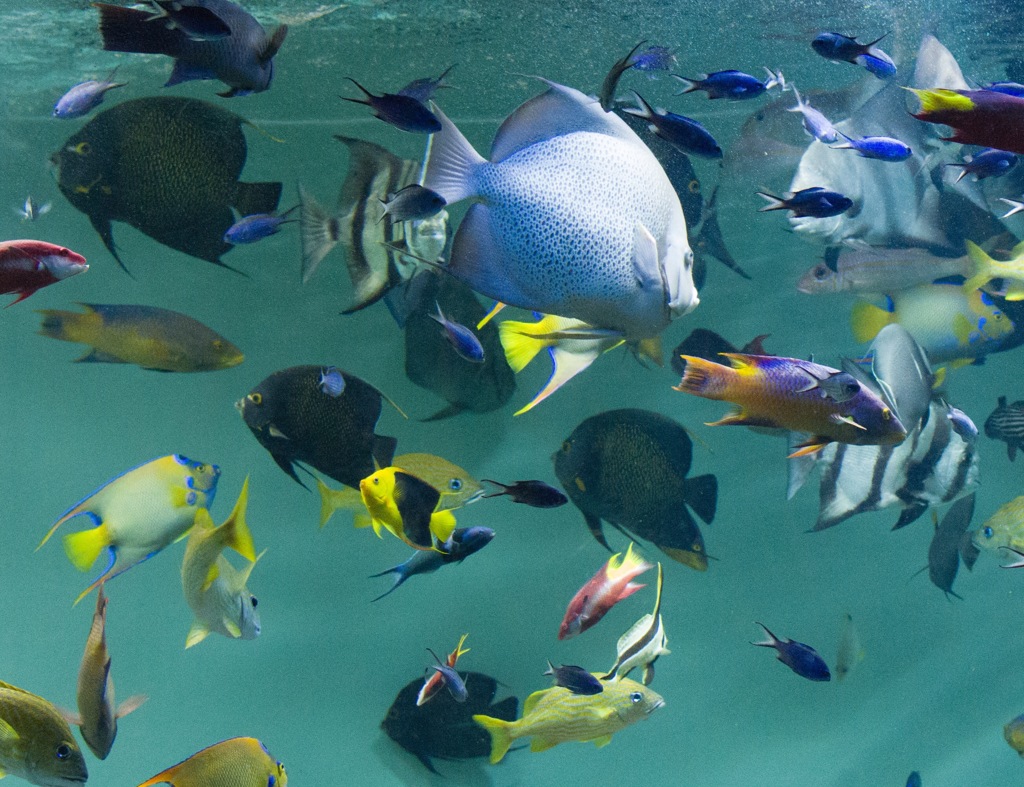 水族園〜渋滞中