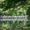 弁天橋