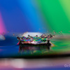 watercrown