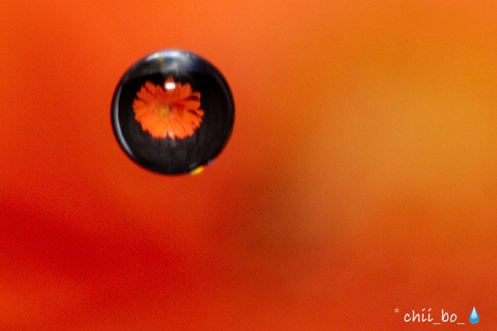 Water droplets3 
