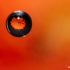 Water droplets3 