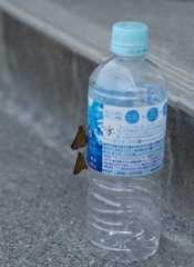 ちょっとひと休み