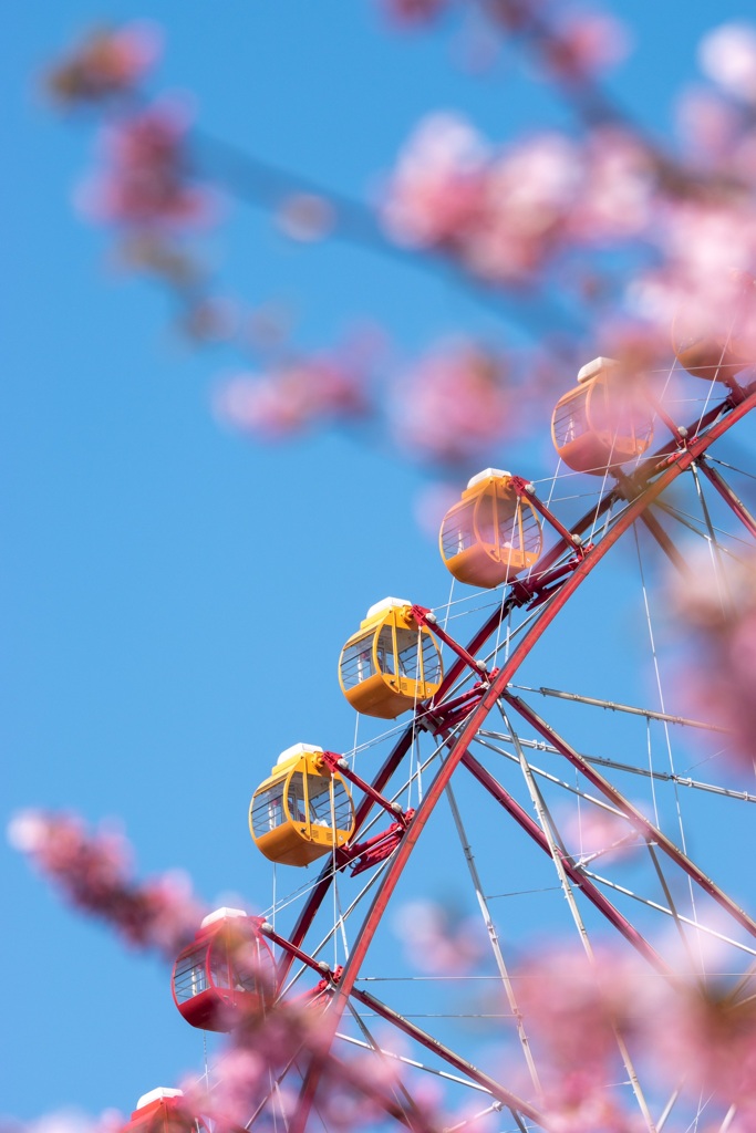 空中散歩