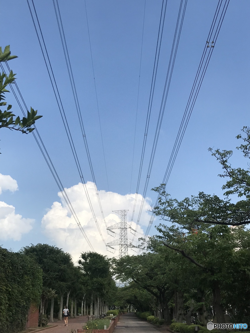 背比べ
