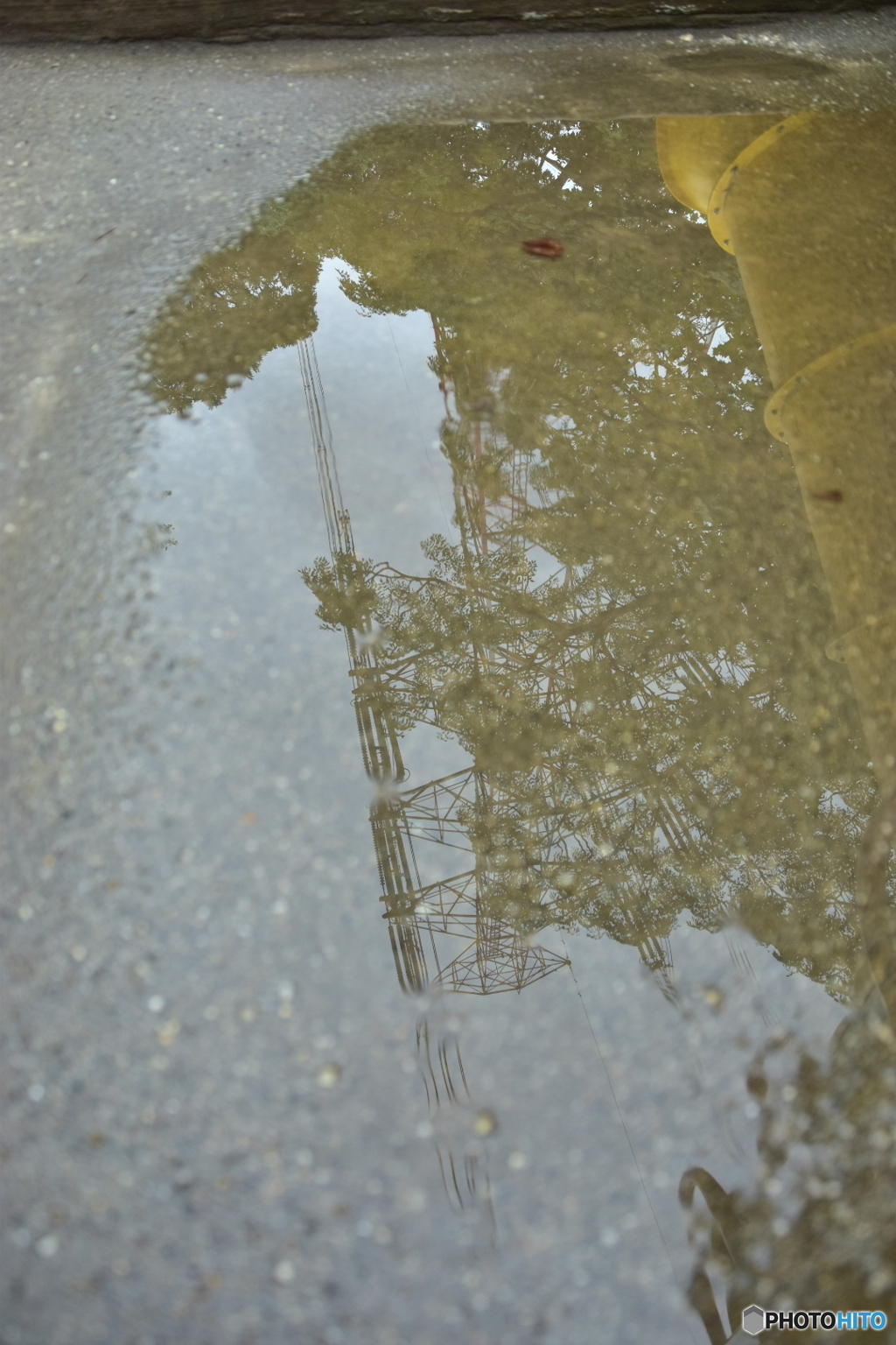 雨上がりに3
