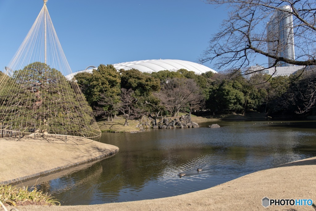 小石川後楽園1