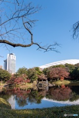 都会のオアシス