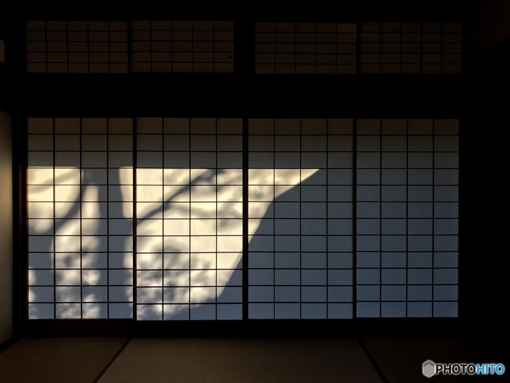 光と影