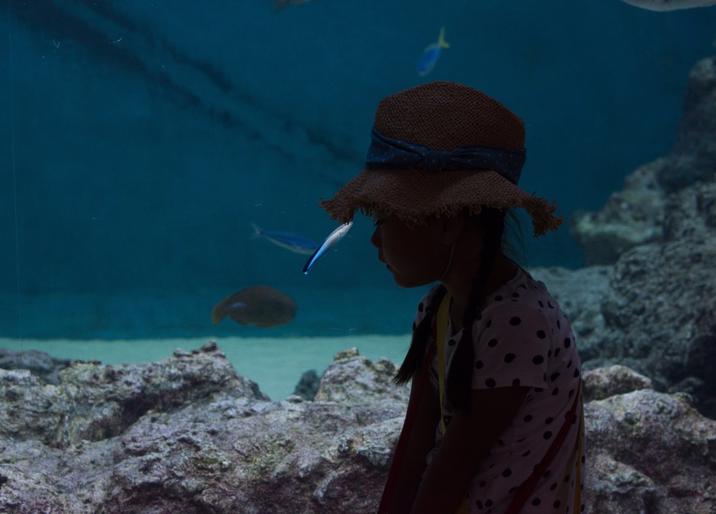 水族園〜ヒソヒソ話