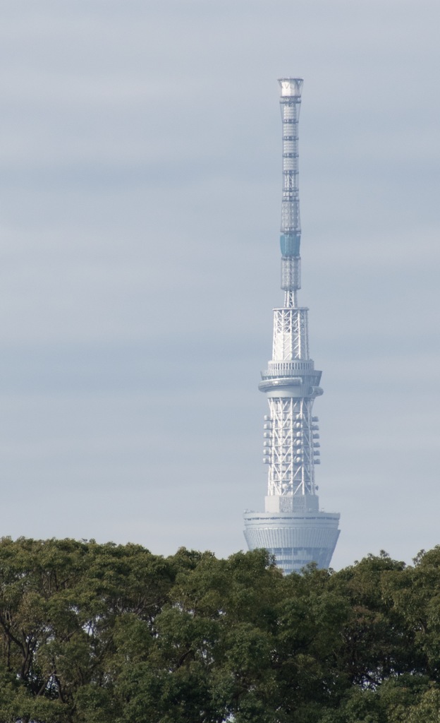 スカイツリー