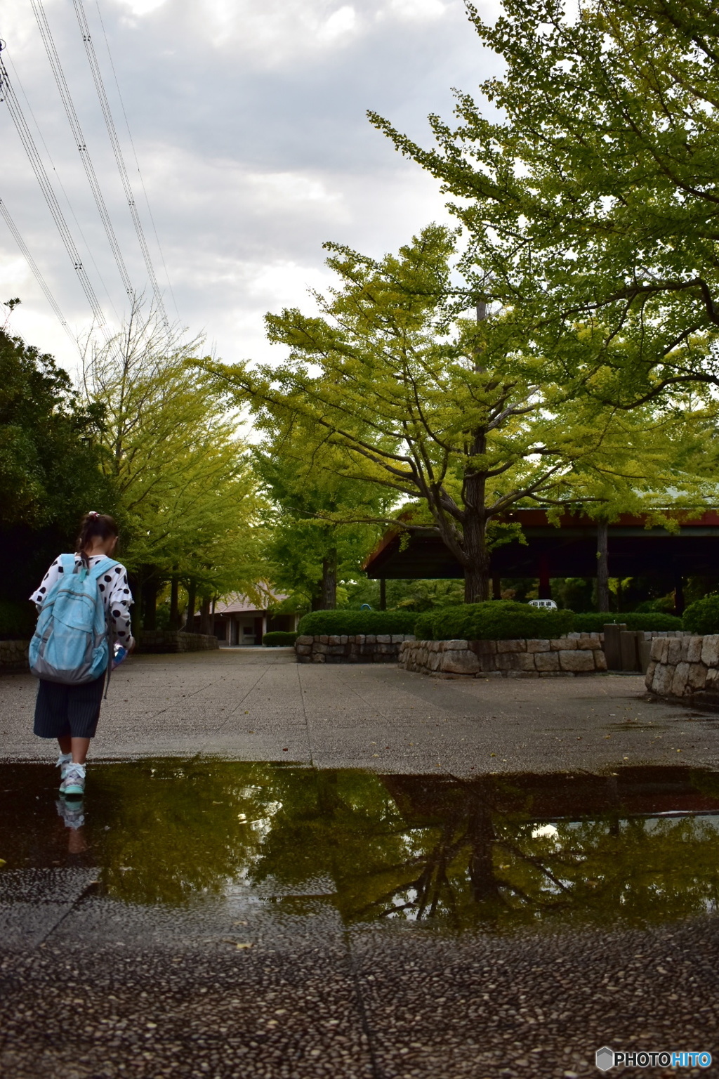雨上がりの公園