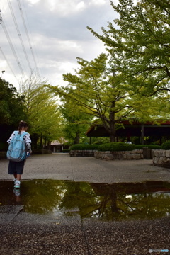 雨上がりの公園