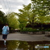 雨上がりの公園