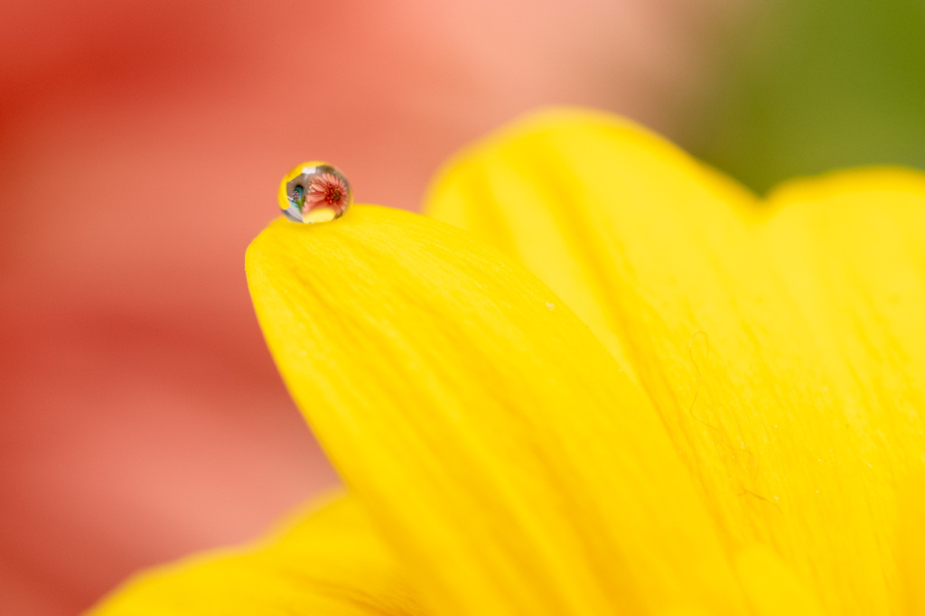 雫フォトチャレンジ