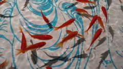 金魚〜すみだ水族館