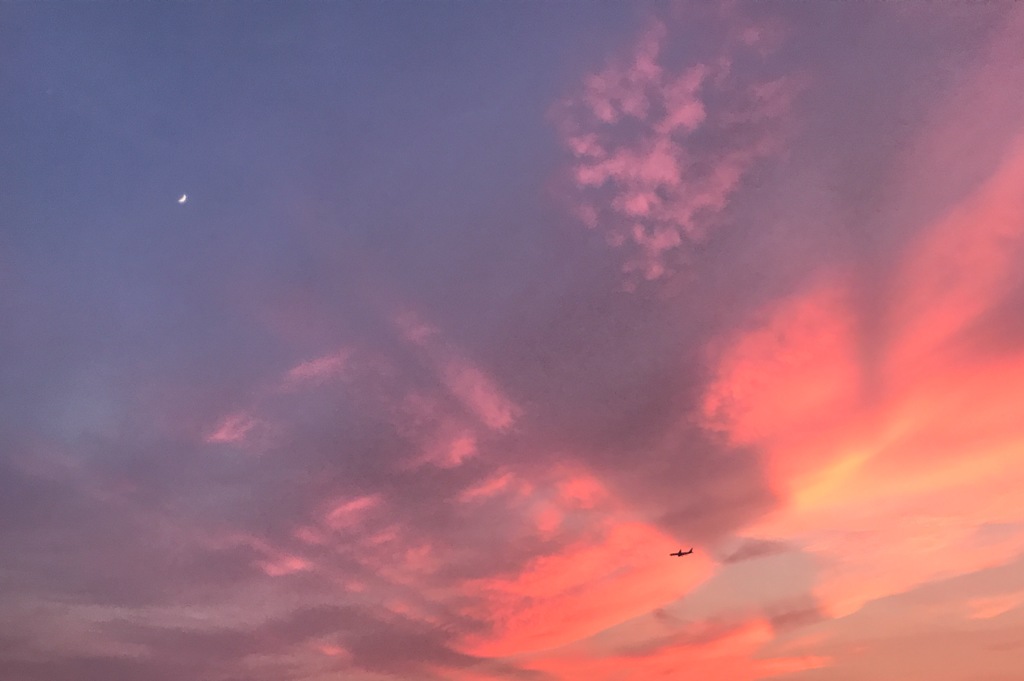 夕日の中