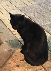 見返り美にゃん