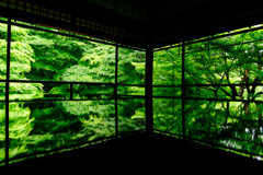 京都･瑠璃光院