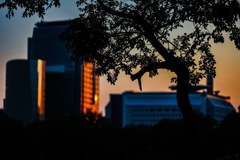 ビルの映す夕陽